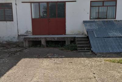 Spațiu comercial, de 480 mp, în Central - 2