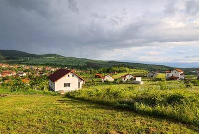 Teren Construcții intravilan de 708 mp, în Hamba - 2