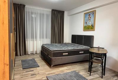 Garsonieră, mobilată în Berceni