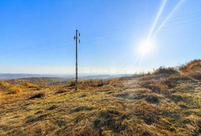 Teren de 3500 mp, în Boldești - 1