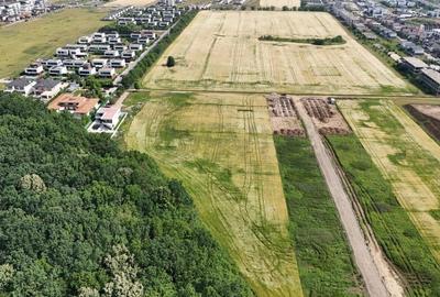 REL4000999 Teren l in proximitatea Amber Forest - 6