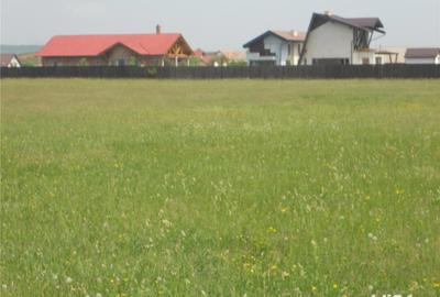 Teren de 8000 mp, în Podu Oltului - 1