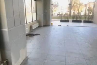 Spatiu comercial - Nicolina prima statie - la Bulevard - 2