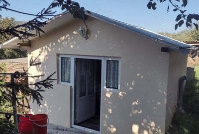 Casa de vanzare in Pihne?ti - Vaslui - 2