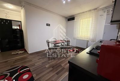 Apartament cu 2 camere decomandat, mobilat în Iosefin - 5