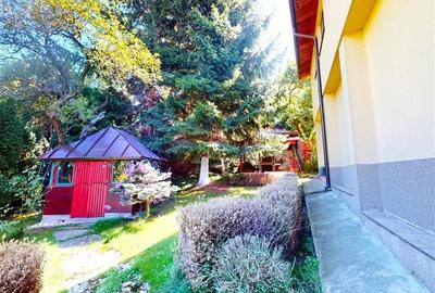 Tur LIVE!Casa cu arhitectura traditionala, curte spatioasa,foisor,Rucar-Bran - 16