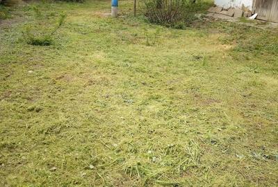 Casă cu Teren 1050 Mp în Central - 4