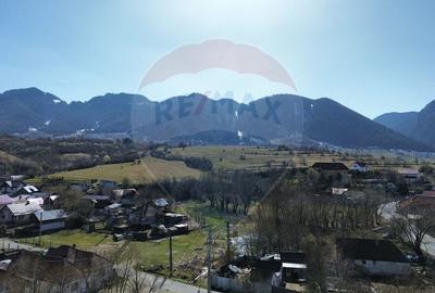 Teren Construcții intravilan de 1486 mp, în Sud - 3