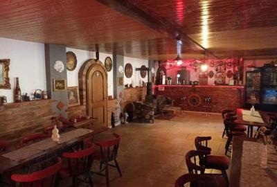 Casa sau afacere in Comlosu Mic - 4