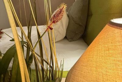 Apartament cu 2 camere semidecomandat în Dumbrăvița - 6