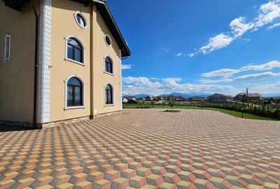 Casa de 428 mp si curte amenajata de 1920 mp - 5