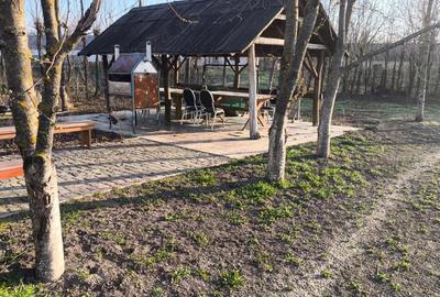 Casă cu Teren 15136 Mp în Central - 10