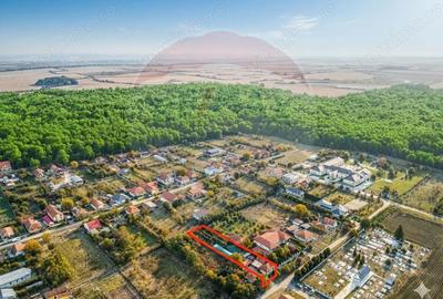 Casă cu Teren 1358 Mp în Bazoș - 5