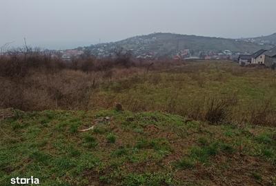 Teren de 11000 mp, în Tomești - 3