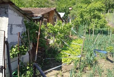 Casă cu 3 camere cu Teren 15 Mp în Viișoara - 6