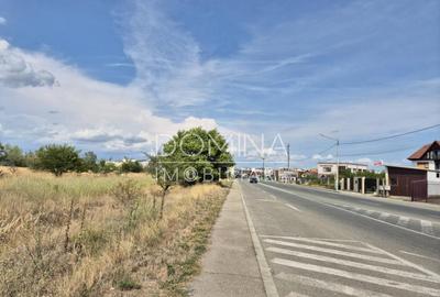 Teren de 878 mp, în Abator - 3