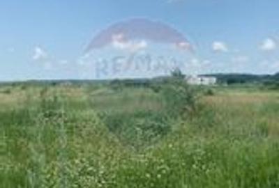 DE VANZARE Teren intravilan 600mp Drumul Piscul Mosului SISESTI - 13