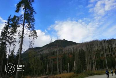 Teren extravilan de 29800 mp, în Ususău - 1