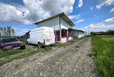 Teren Construcții intravilan de 1700 mp, în Poșta - 29