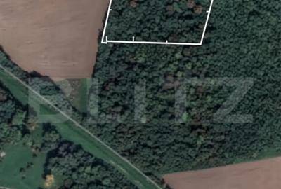 Teren de 10000 mp, în Șag