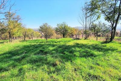 Casa cu teren 1300 mp zona Primarie Selimbar Casa cu teren 1300 mp zona Primarie Selimbar - 5