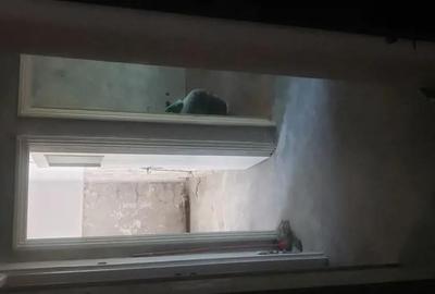 Apartament Giurgiului - 9