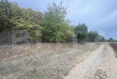 Teren de 15000 mp, în Central - 4