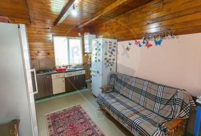 Pensiune agroturistica cu 6 camere + Casa de locuit, de vanzare - 19