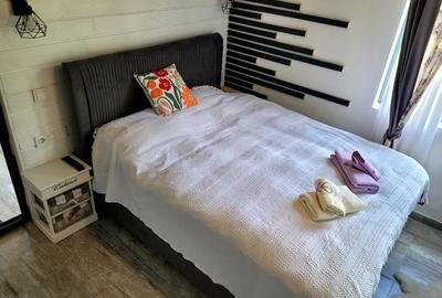 Casă cu 3 camere cu Teren 500 Mp în Bistra - 2