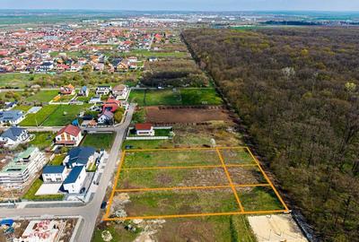 Spațiu comercial, în Dumbrăvița - 5