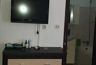 Apartament cu o Camera in Dragasani - 2