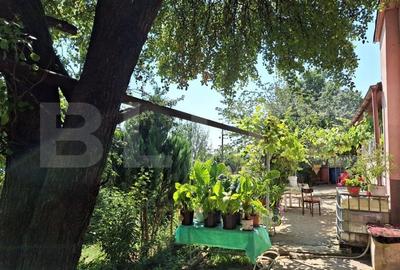 Casa 3 camere, 129mp, zona Viisoara , teren 1240mp - 9