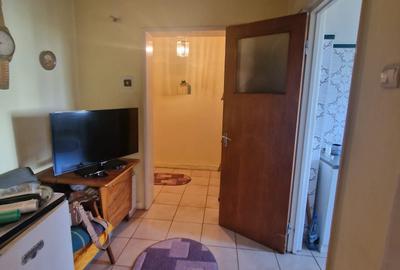 Baba Novac, Parc Ior, Mall Park Lake - 7