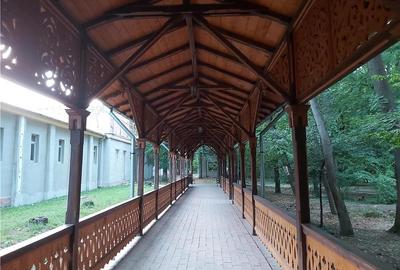 Casă cu 6 camere în Buziaș - 5