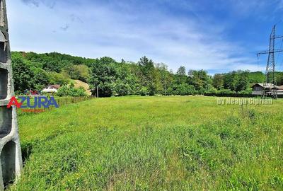 AZURA Imobiliare - Teren Babana Central la Asfalt - 2