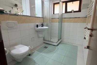 Garsonieră decomandată, mobilată în Brestei - 3