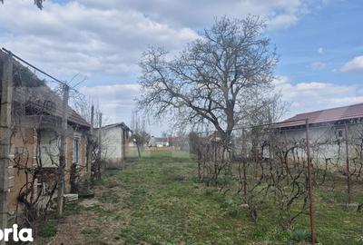 Teren de 1399 mp, în Micula - 11