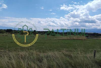 Teren intravilan in cartierul arhitectilor, Sibiu - 8