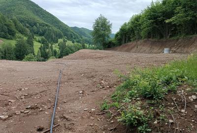 Teren de 12500 mp, în Central - 5