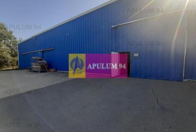 Spațiu industrial, de 4,850 mp, în 1 Decembrie - 7