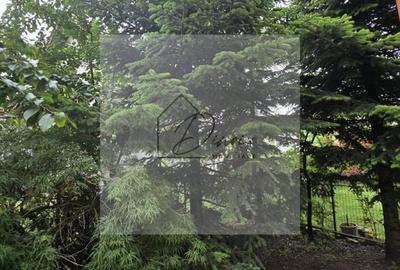 Vila 5 camere LUX Voluntari - Cartier Henri Coanda - 2