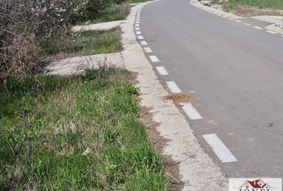 Teren Construcții intravilan de 850 mp, în Totoi - 1