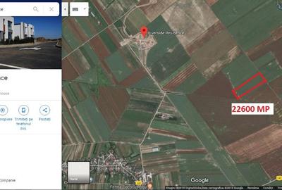 Teren de 12600 mp, în Ulmi - 2