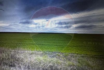 Teren extravilan Sarbatoarea Dolj aproape de Dj 552A - 3