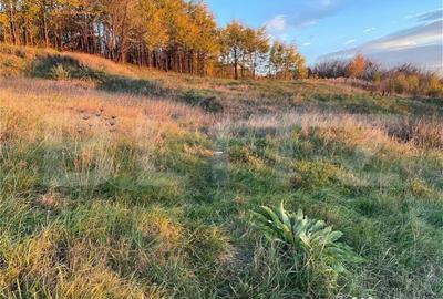 Teren de 1672 mp, în Viticultori