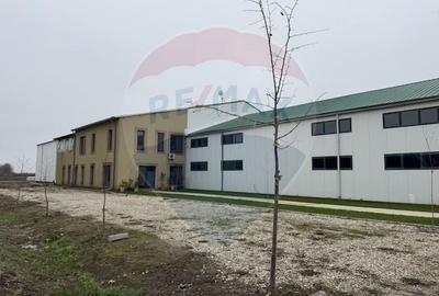 Proprietate agro-industriala premium - 43 ha langa Bucuresti (Adunatii - 1
