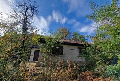 Resita Casa cu Teren privat 4670 Mp. - 4