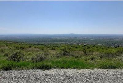 Spațiu comercial, în Central