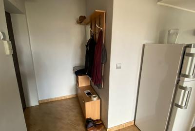 Apartament cu 3 camere semidecomandat, mobilat în Plopilor - 7