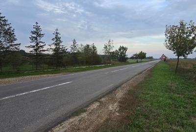 LIVADA  DE VANZARE FOCSANI-DUMBRAVITA  1,8  HA - 26
